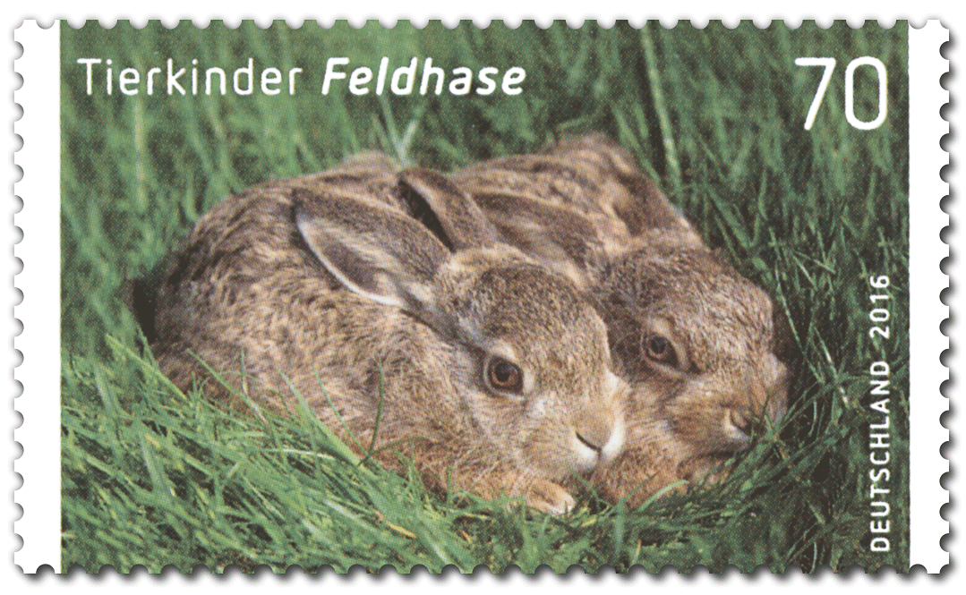 Briefmarke Feldhase