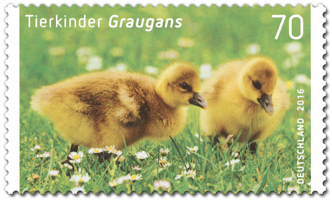 Briefmarke Graugans