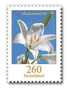 Briefmarke Madonnenlilie