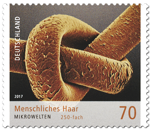 Briefmarken-Serie "Mikrowelten" Menschliches Haar