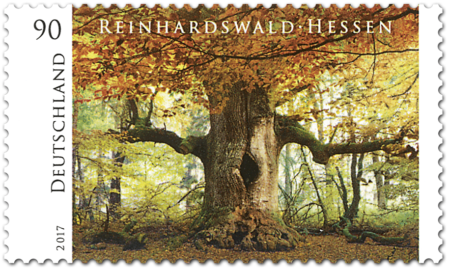 Briefmarkenserie "Wildes Deutschland" Rheinhardswald