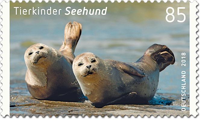 Briefmarkenserie "Tierkinder" Seehund