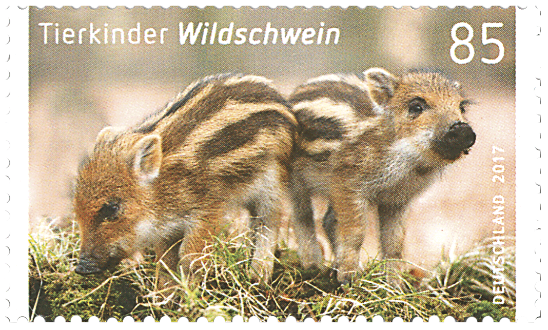 Tierkinder
