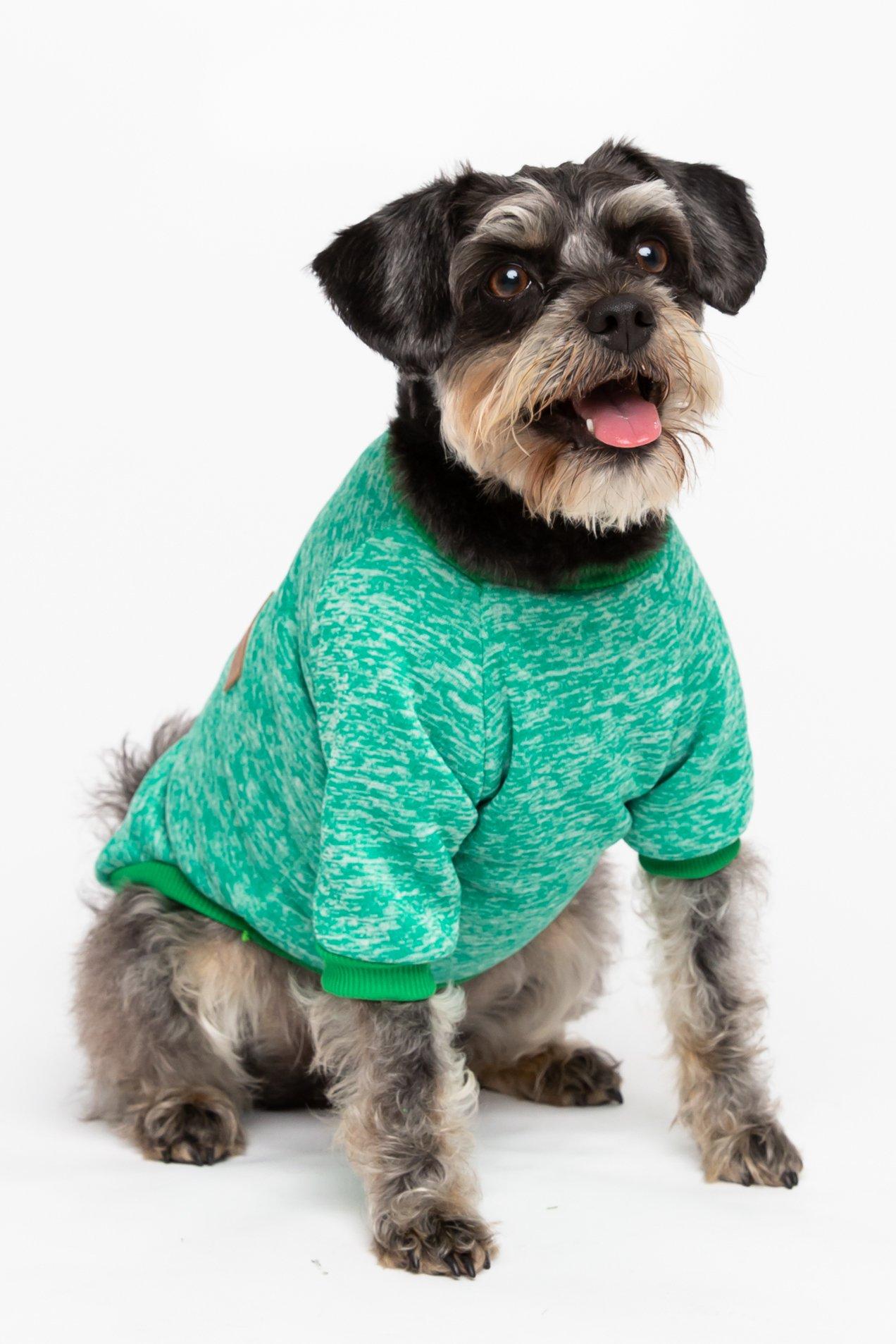 Picture of Green Jersey Dog Jumper