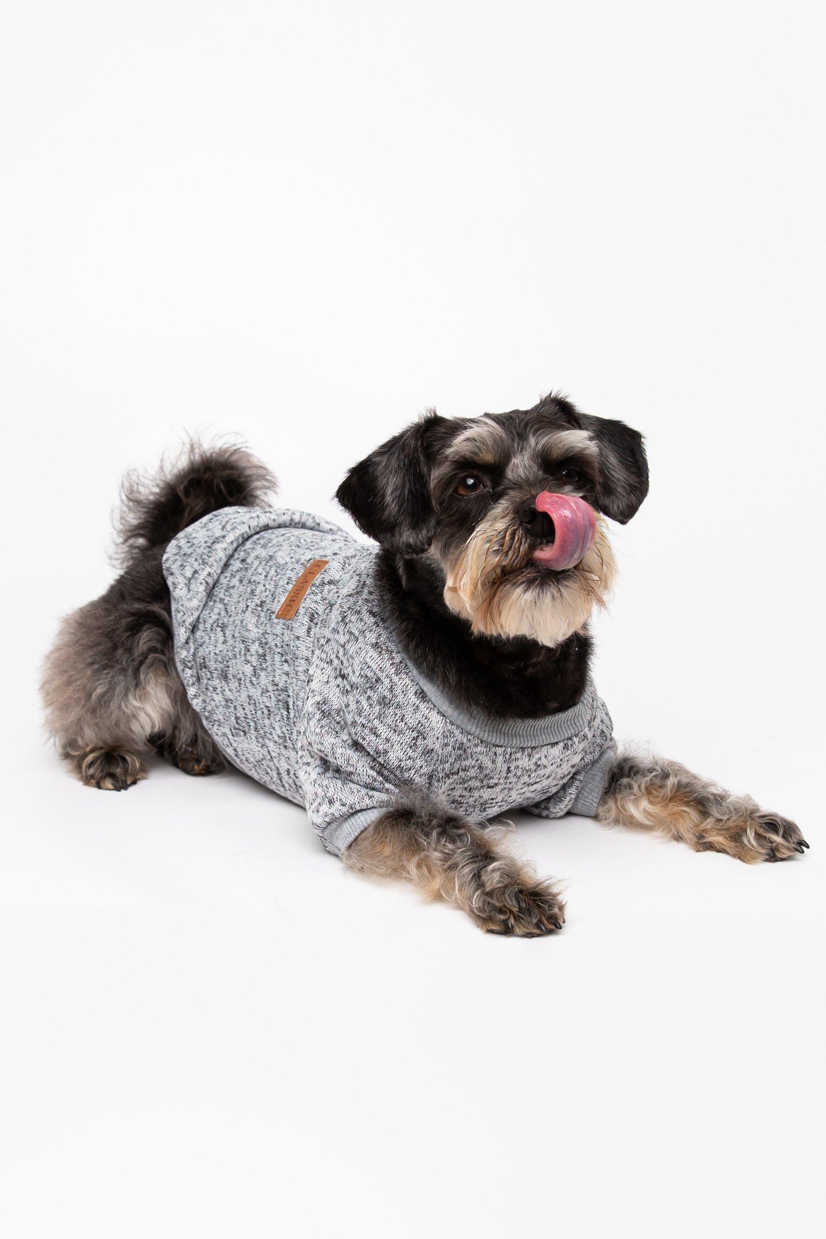 Picture of Grey Jersey Dog Jumper