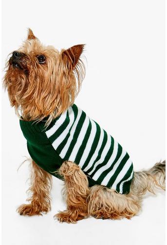 Poppy Stripe Dog Christmas Jumper