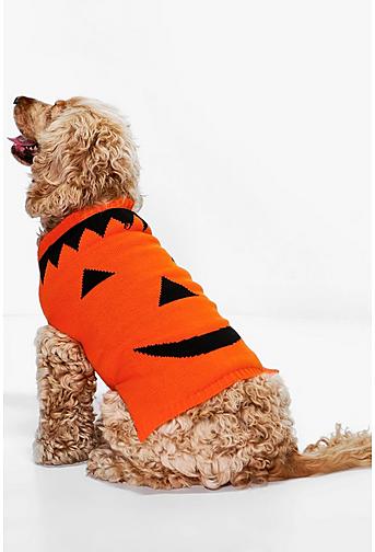 Morticia Halloween Pumpkin Dog Jumper