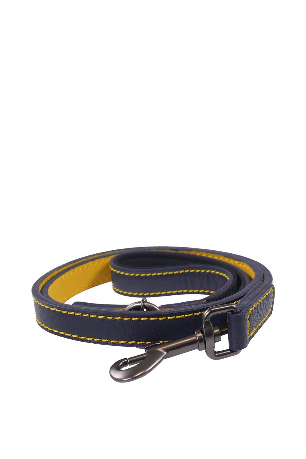Picture of For Dapper Dogs Navy Leather Dog Lead With Padded Handle