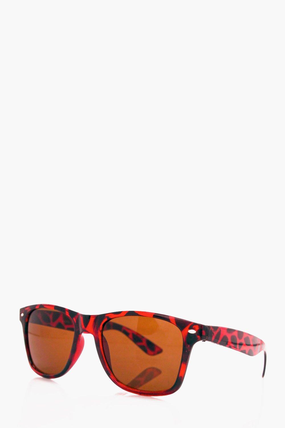 Tortoise Shell Wayferer Sunglasses