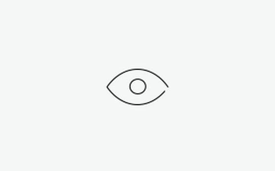 Icon of an eye.