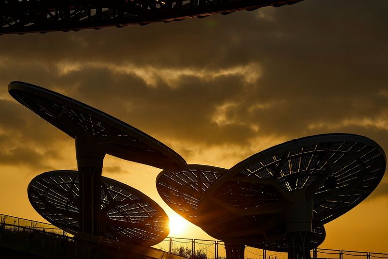 1526_Energy Tree_Sustainability Pavilion_