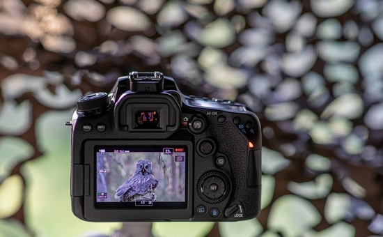 EOS 90D Shooting Video Article