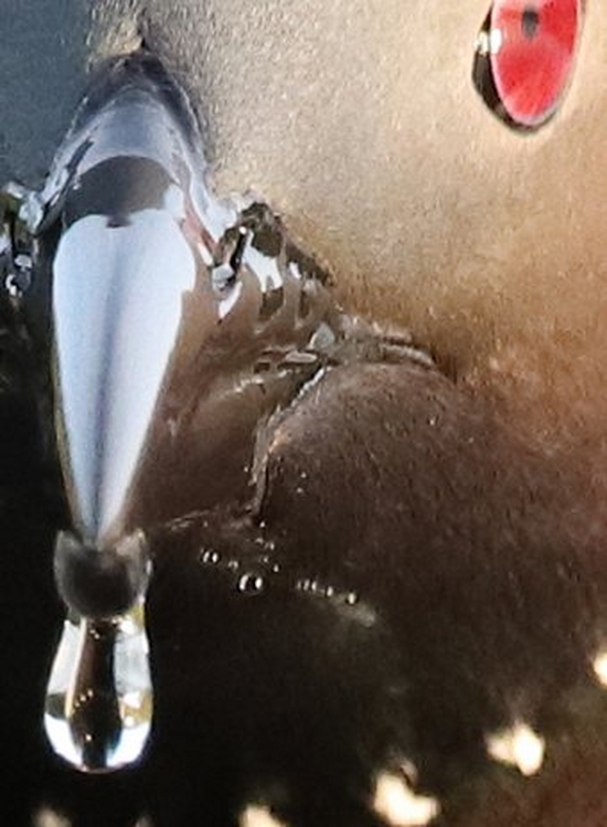 Canon EOS 90D 100% Crop