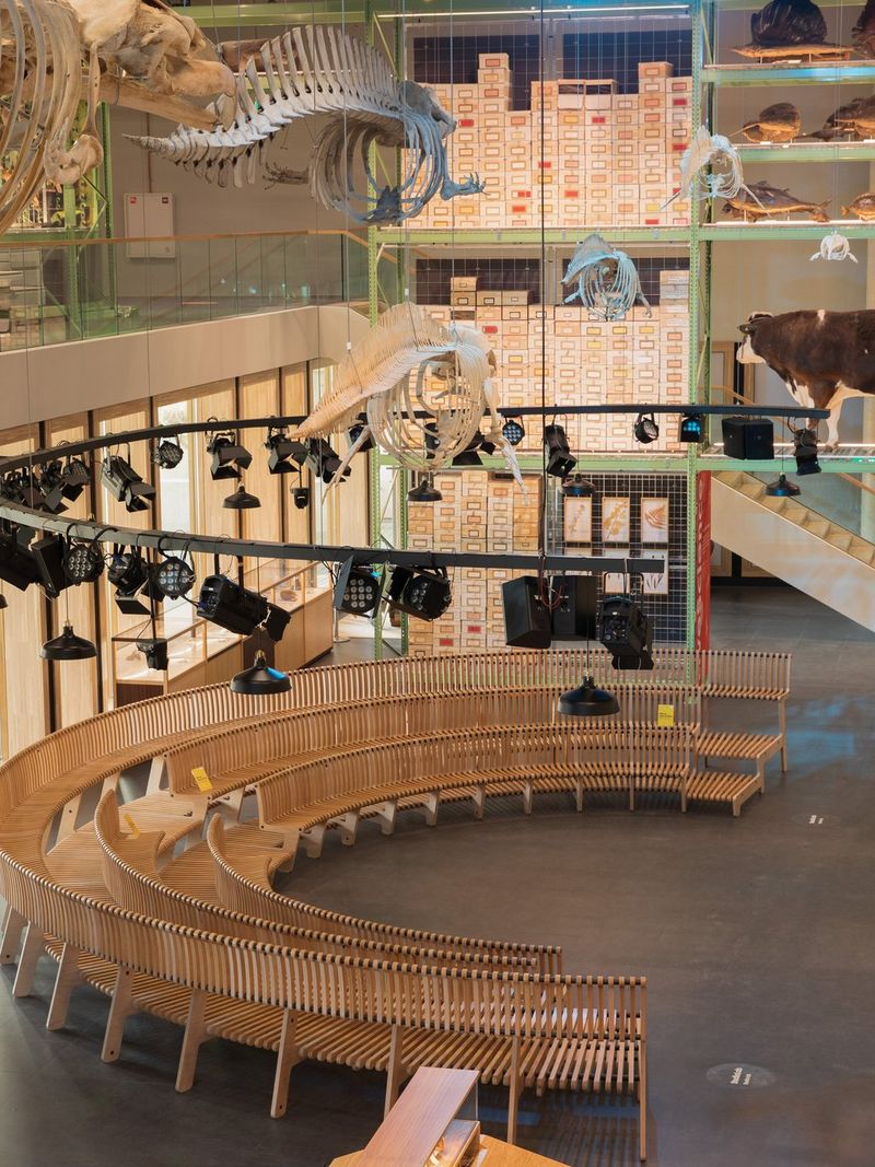 Cameras, Stage Lights, Set, Museum, Dinosaurs