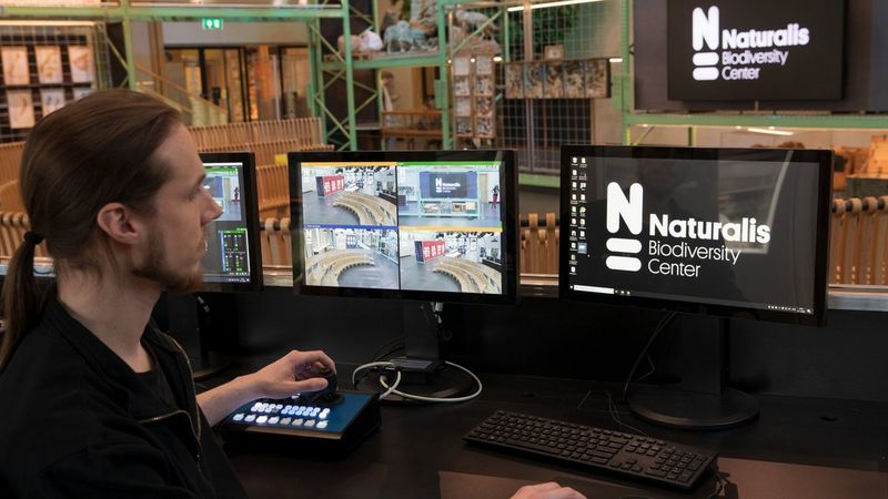 Control Room, IT, Staff, Monitor