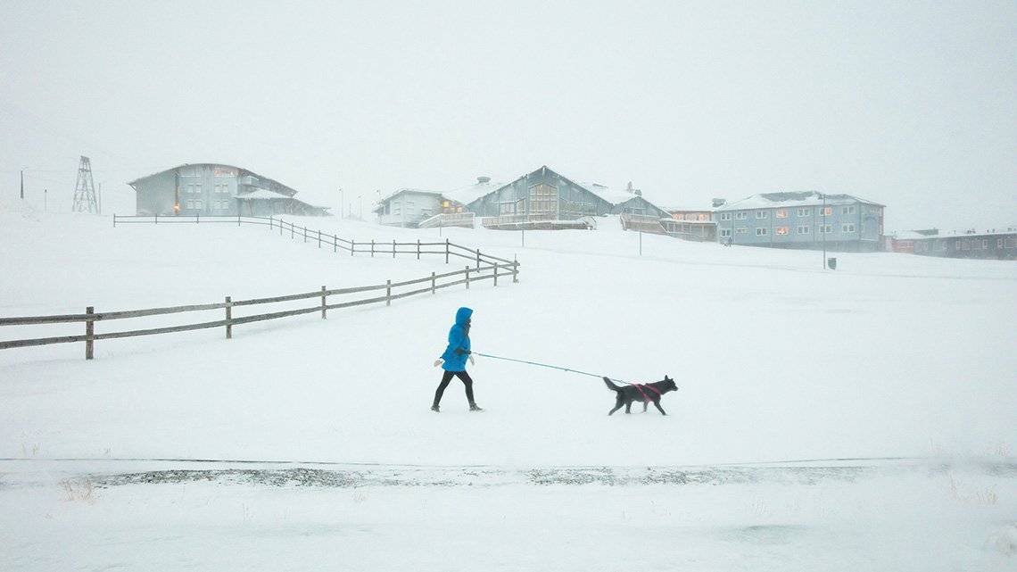 When Canon Ambassador Guia Besana saw this dog 'walking its human' in a snow storm in Longyearbyen, Svalbard, Norway, she sprung into action to capture the scene. Taken on 12 February 2018 on a Canon EOS 5DS R with a Canon EF 24-70mm f/2.8L II USM lens. © Guia Besana