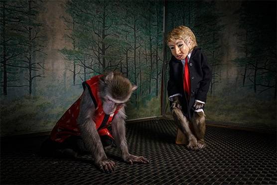 Photographers respond to World Press Photo’s new Environment categories