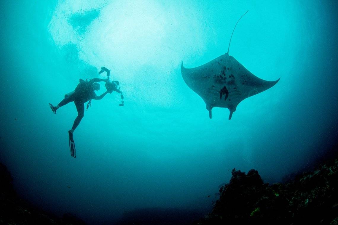 Fergus Kennedy dives next to a reef manta ray. He wears diving gear and holds a camera in an underwater housing to film the ray.