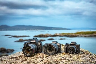 Canon EOS family