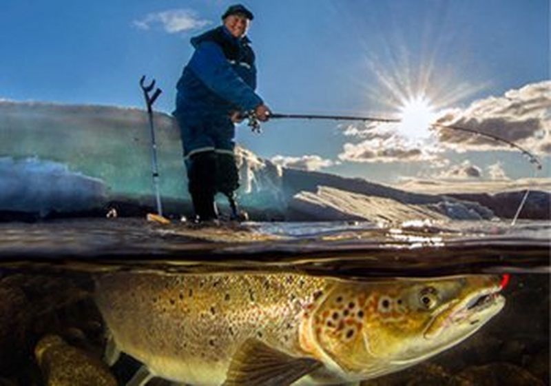 Audun Rikardsen’s father, captured above water, also showing the fish under water, using a split photography technique.