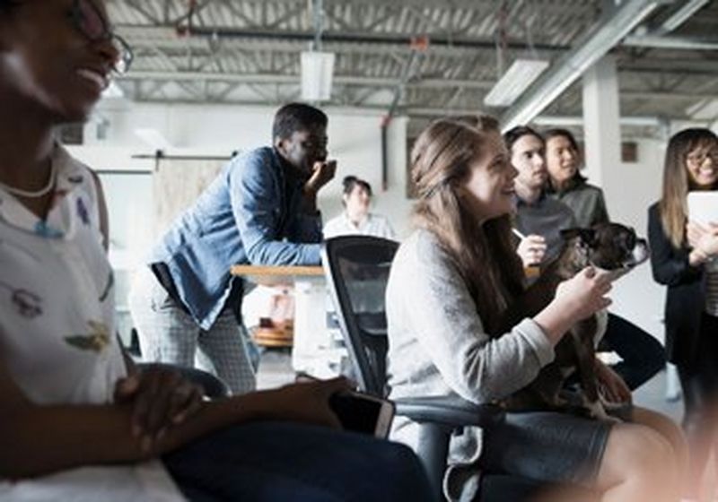 A group of seven young people, sat and stood, all look towards something unseen to the right of the image. One has a dog on her lap.