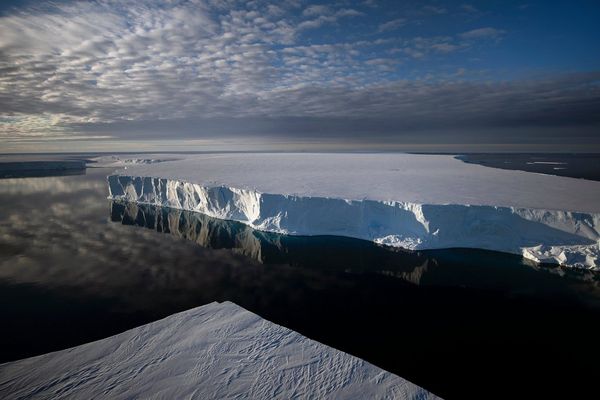 A vast ice shelf casts a reflection onto the waters of Antarctica. Taken by Lucia Griggi.
