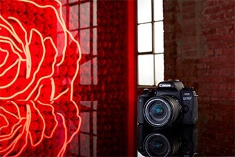 Canon product selector tool