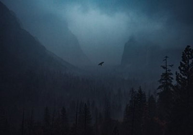 A dark scene of blues and greys, with black trees of differing sizes in the foreground and steep mountains on either side of the image, forming a valley through which you can see a glimpse of light through the clouds. A bird flies between the mountains, very nearly at the dead centre of the image.