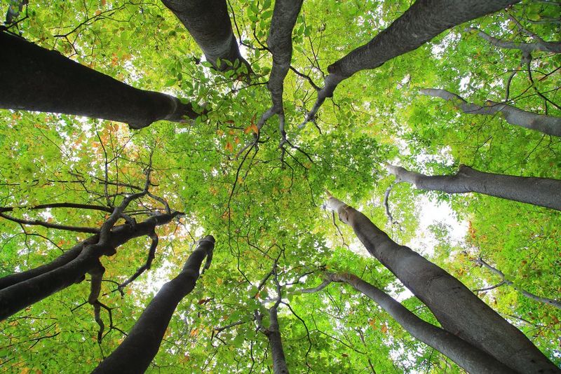 AdobeStock_189004544