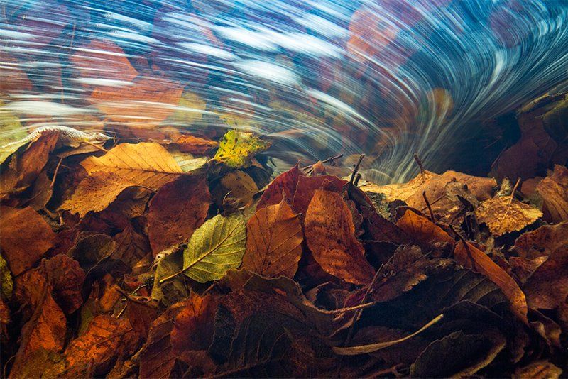 A pile of autumn leaves with flowing water above them.
