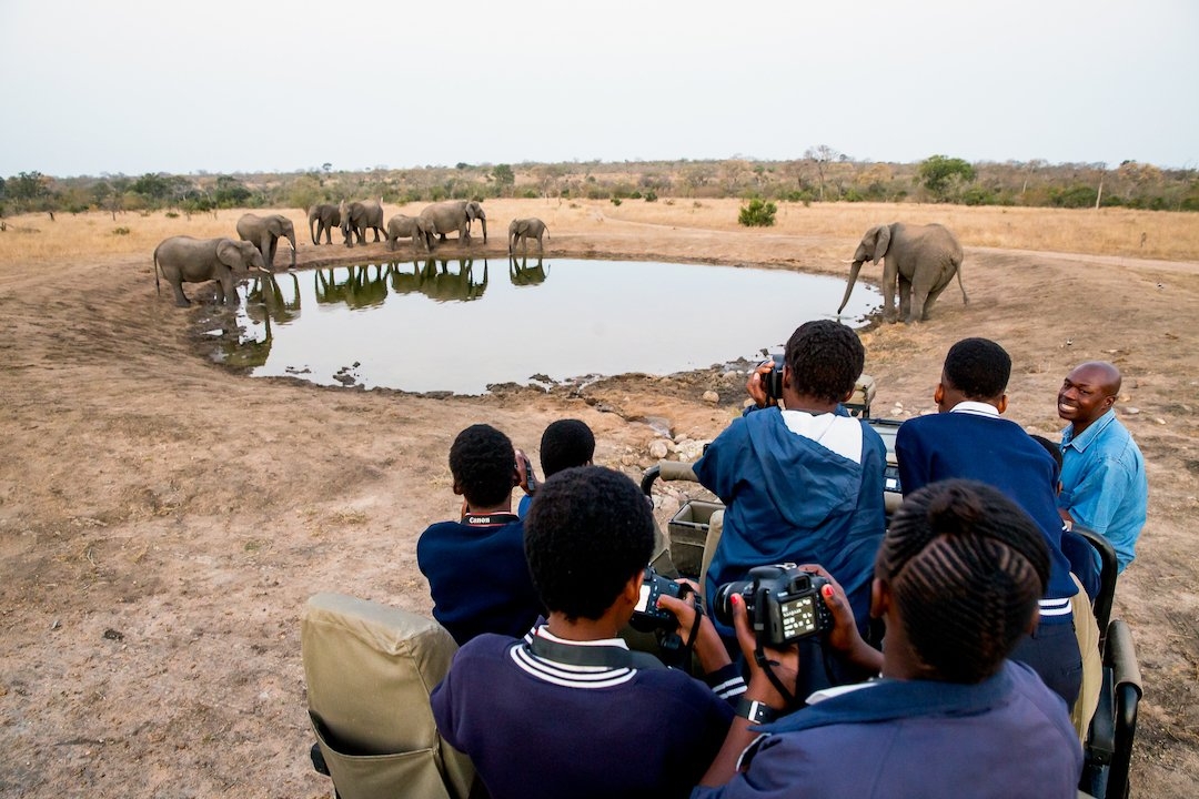 A Wild Shots Outreach group encounter a herd of elephants at a waterhole, Sabi Sand Game Reserve. 