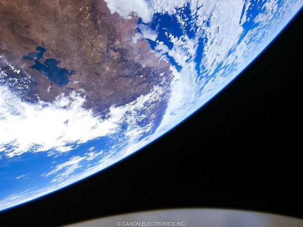 Microsatellites