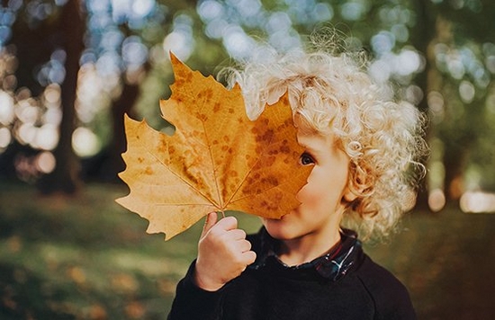 A child holds an autumn leaf larger than their face.