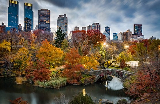 A cityscape filled with autumnal coloured trees.