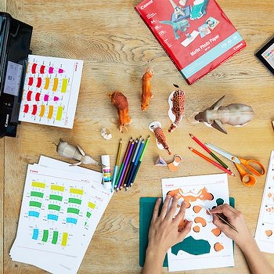 A Canon printer surrounded by templates for paper animals, coloured pencils, glue and a pair of scissors.