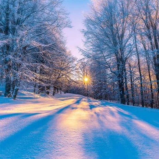 The sun sets behind a snow-covered forest.