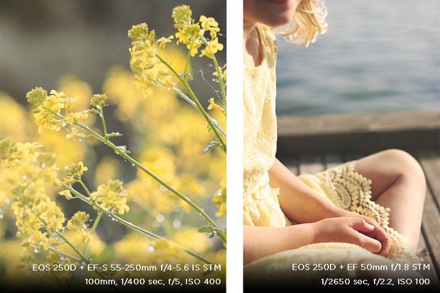 A composite photo shows a yellow flower and a girl in a yellow dress, photographed by Hannah Clark on a Canon EOS 250D.