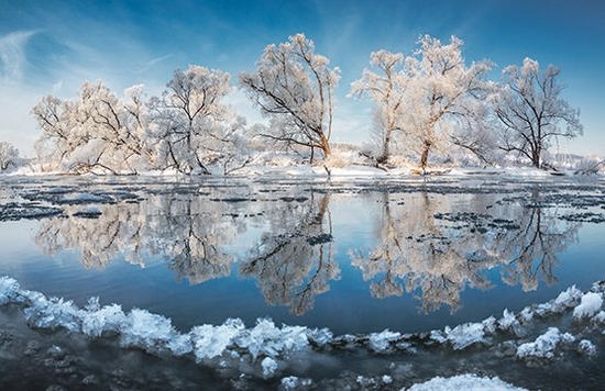 Snow-covered trees reflected in the clear water of a lake in Banff National Park. Photograph by Vladimir Medvedev.