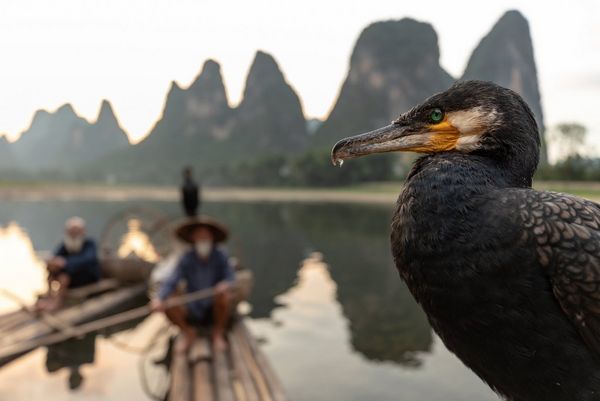 A close-up of a cormorant, a drop of water dripping from its beak. Two fishermen in their boats are visible on the river behind, and jagged hills in the background. Taken by Joel Santos on a Canon EOS 5D Mark IV.