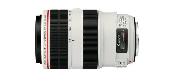A Canon EF 70-300mm f/4.5-5.6L IS USM lens.