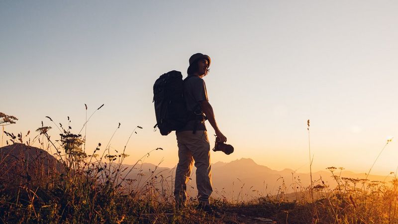 Canon Pro News-Stories -16x9.jpg