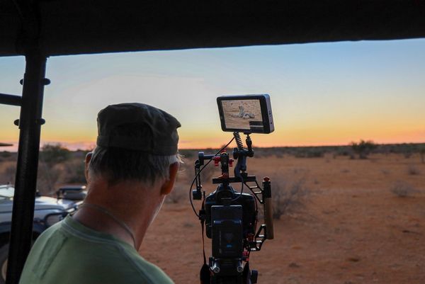 Second camera operator Bosie Vincent using a Canon EOS-1D X Mark III to capture a shot of a cheetah, visible in the monitor on top of the kit.