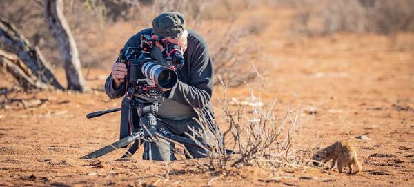 A man filming a baby meerkat in the desert with a Canon EOS-1D X Mark III.
