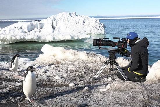 Filming top wildlife shows with a Canon CN20x50 lens
