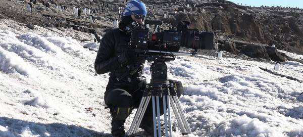 Sophie Darlington crouches in the snow with a Canon lens on a camera in front of a colony of penguins. 