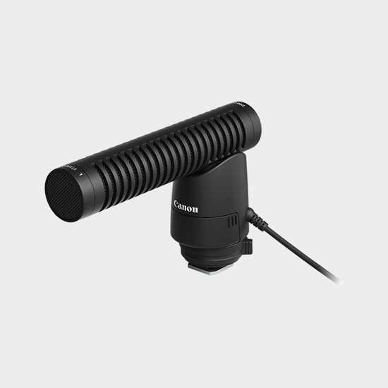 GX10 – Stereo Microphone DM-E1