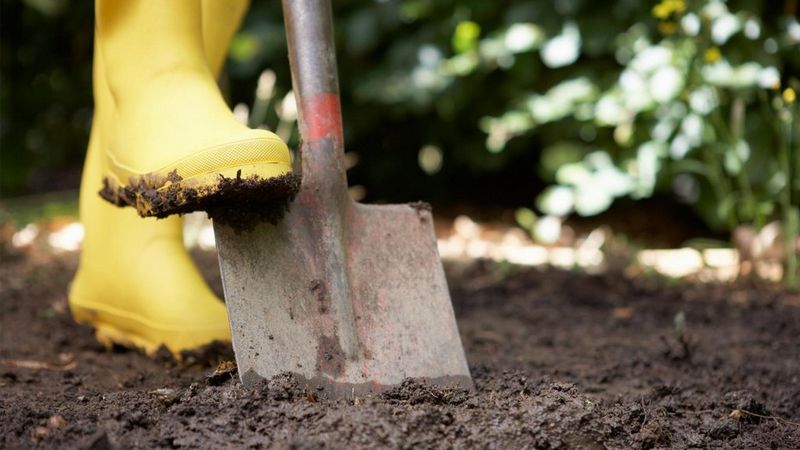 A pair of feet in yellow wellies. One is pressing a shovel into muddy ground.