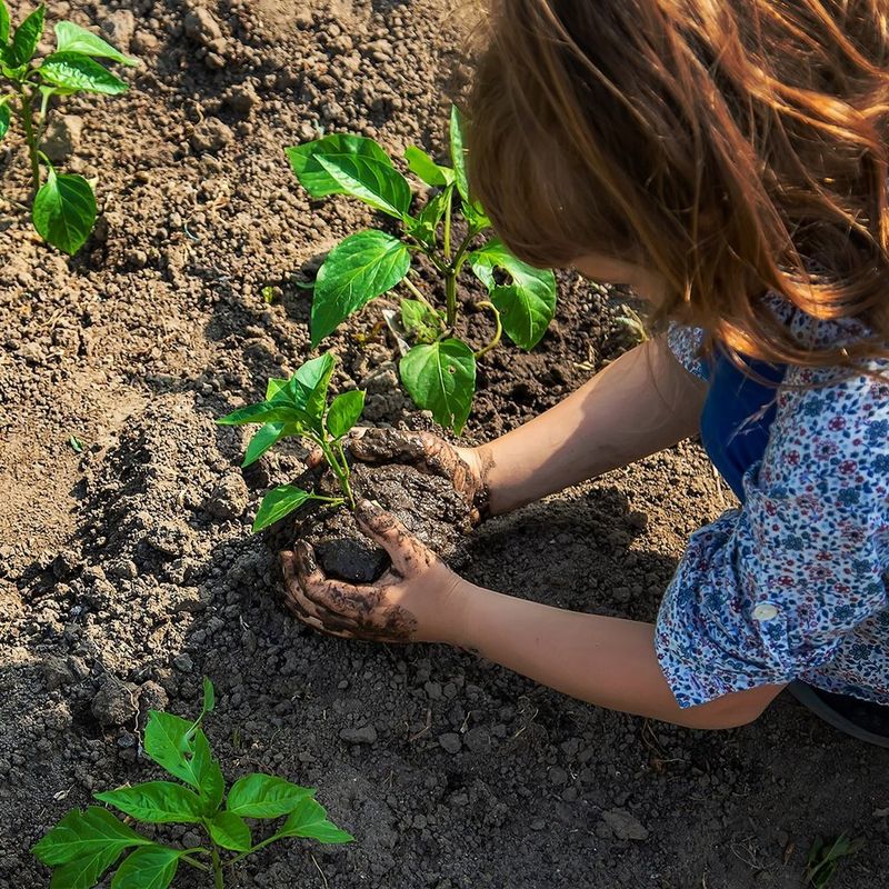 A girl putting a plant bulb into the soil