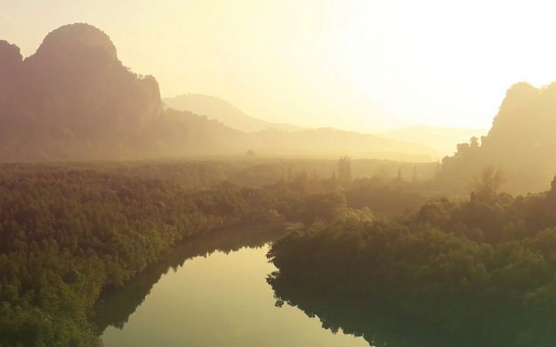 Canon Picturing a Sustainable Future