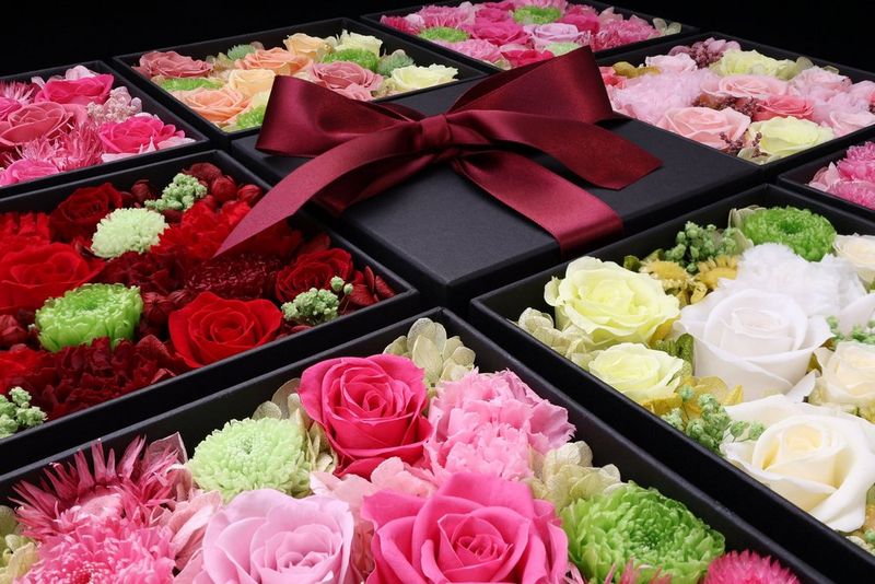 A close-up of trays of flowers taken with the Canon EOS R50's Advanced A+ mode.